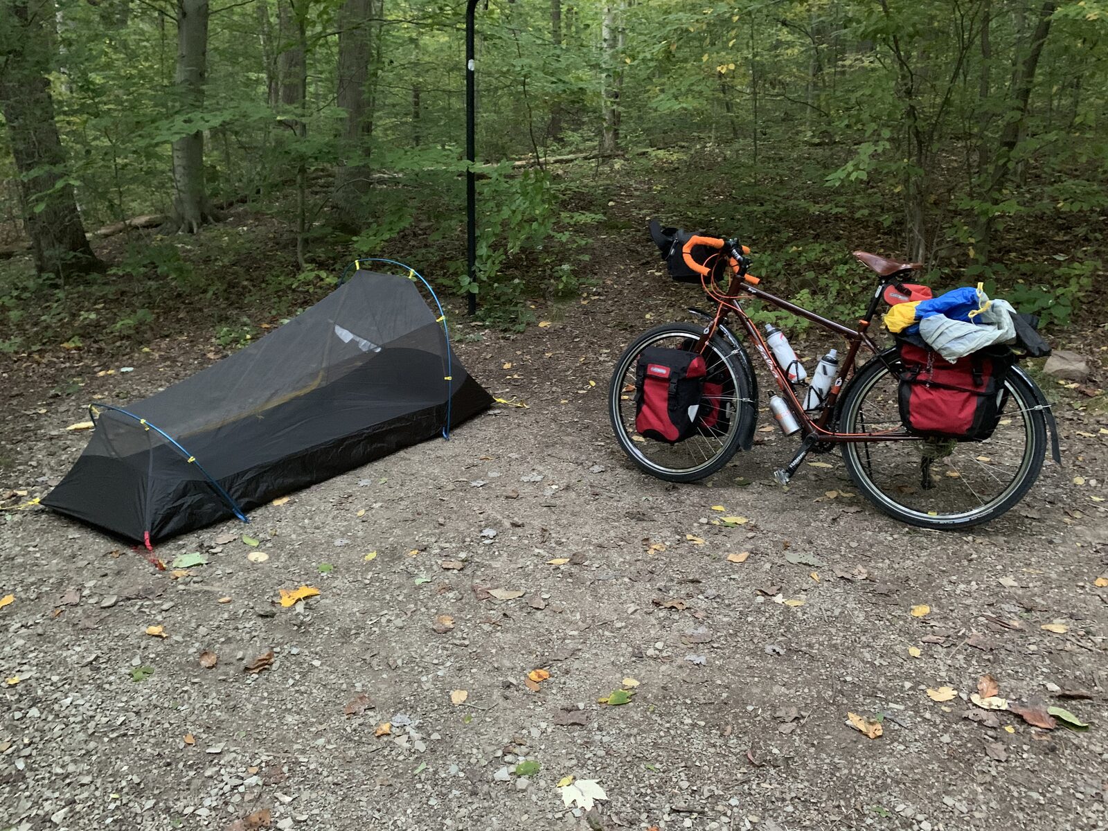 A one-person tent beside a fully loaded touring bicycle at a forest campsite